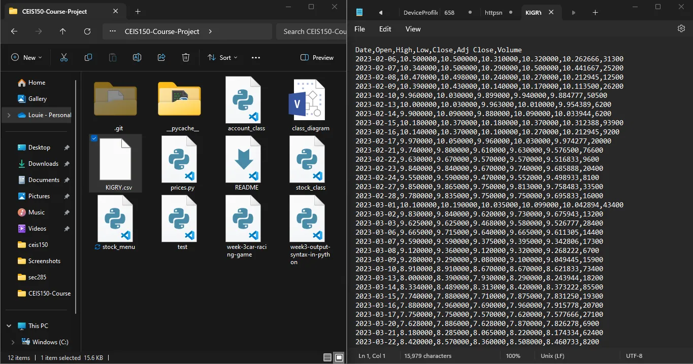 Python Stock Tracking Application, screenshot 16 of 21