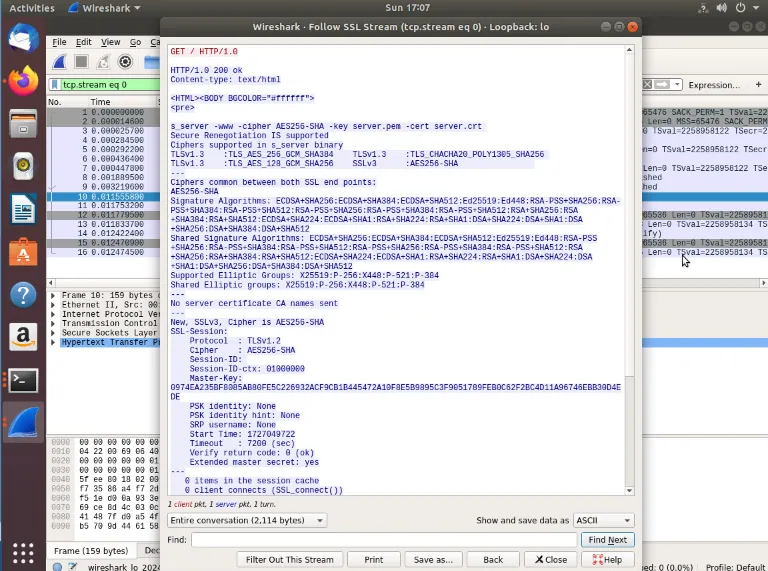 Infrastructure Security, screenshot 2 of 13